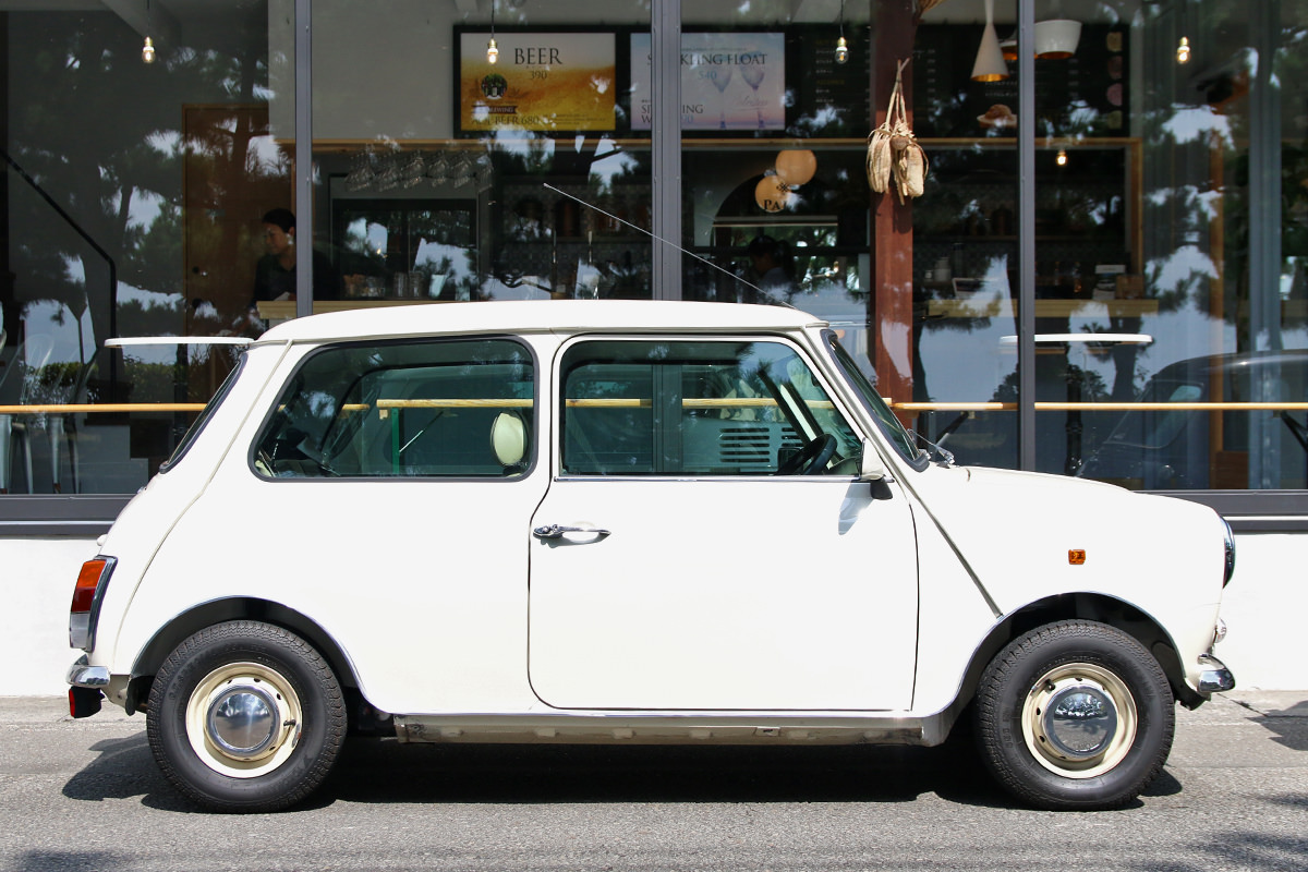 CLASSIC MINI L WATERPROOF サイズ5