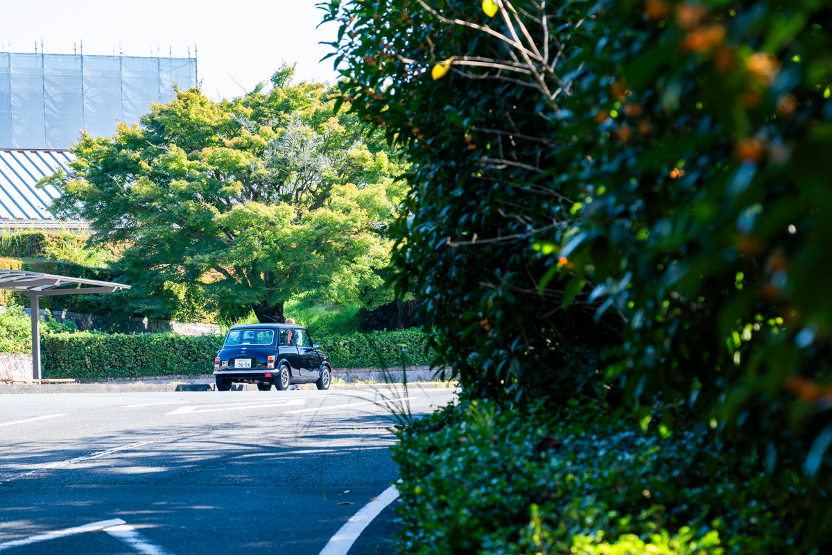 ローバーミニ ポールスミス限定車